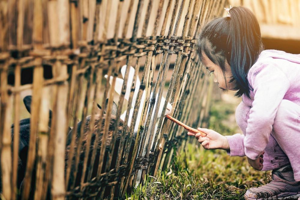 Hotel Banyan Tree Chongqing Beibei Zewnętrze zdjęcie